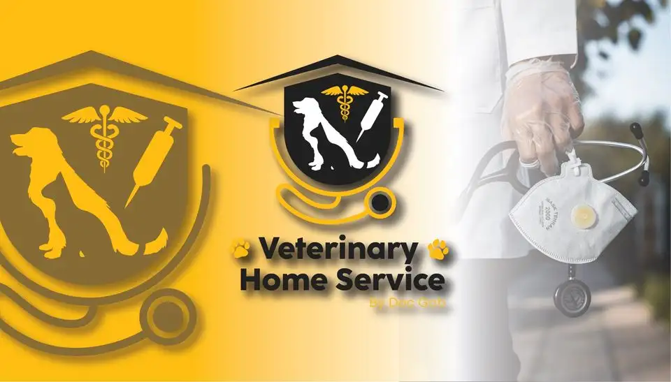 Doc Gab - Veterinarian Banner