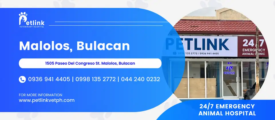 Petlink - Malolos, Bulacan Banner