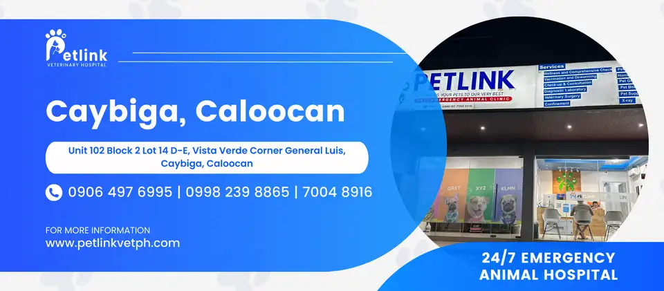 Petlink - Caybiga, Caloocan Banner