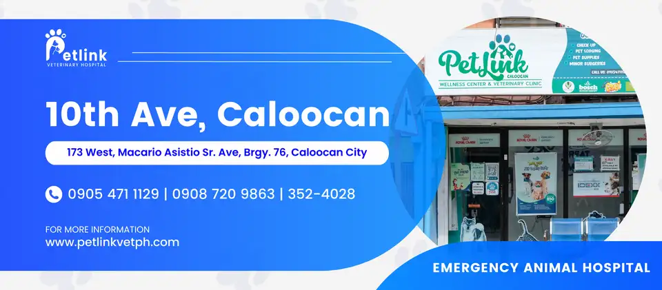 Petlink - 10th Ave, Caloocan Banner