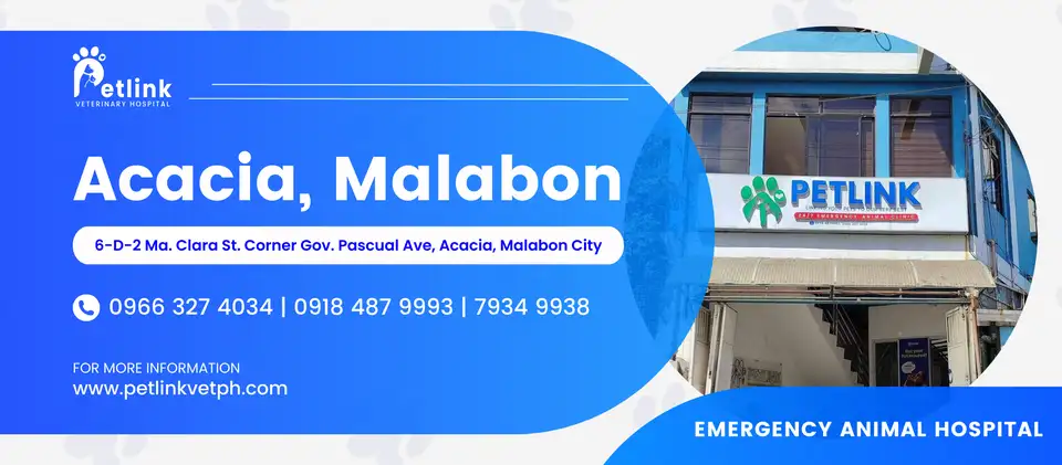 Petlink - Acacia, Malabon Banner