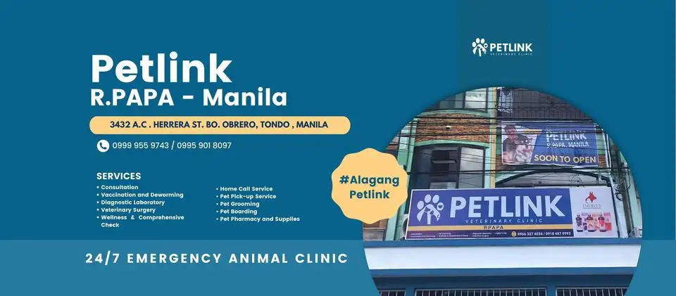 Petlink - R.Papa Manila Banner