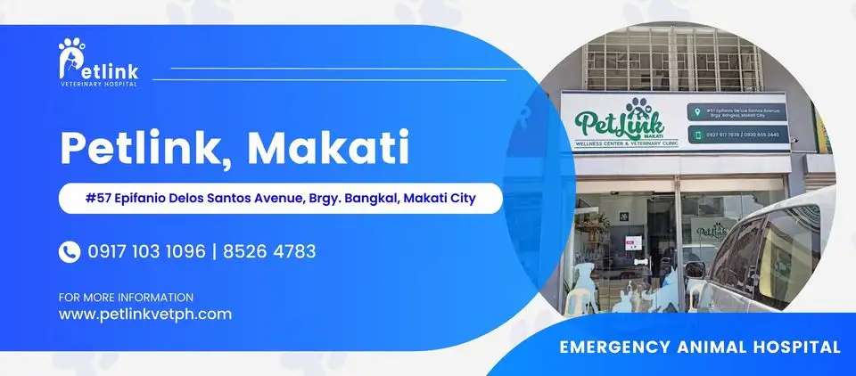 Pet Link Wellness Center and Veterinary Clinic - Makati Banner