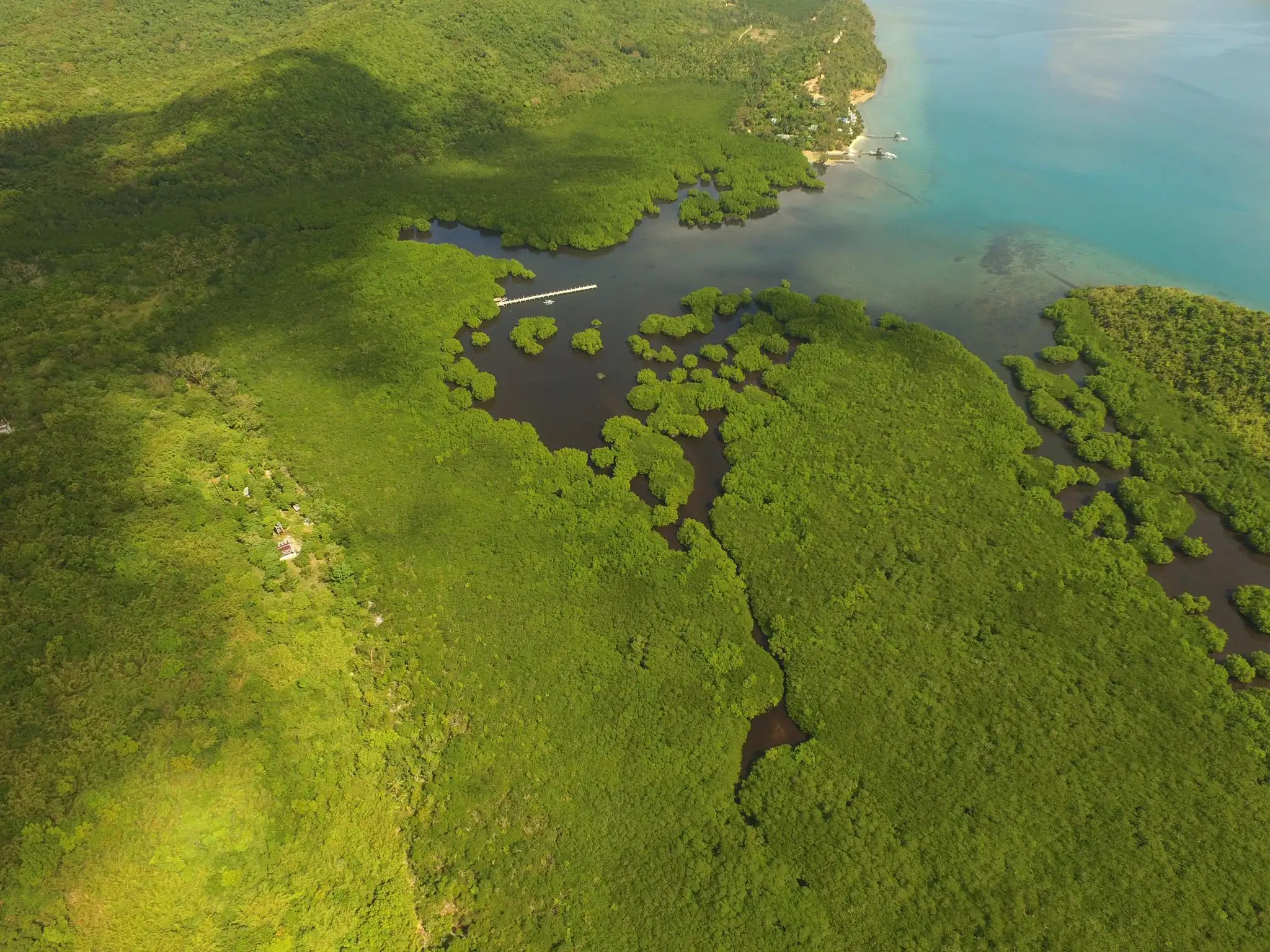 La Estancia Busuanga Banner