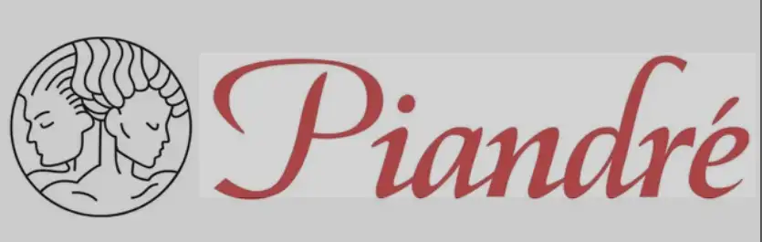 Piandré Salon Banner