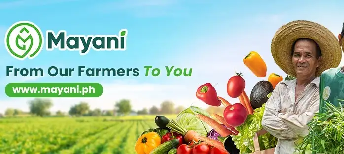 Mayani Banner
