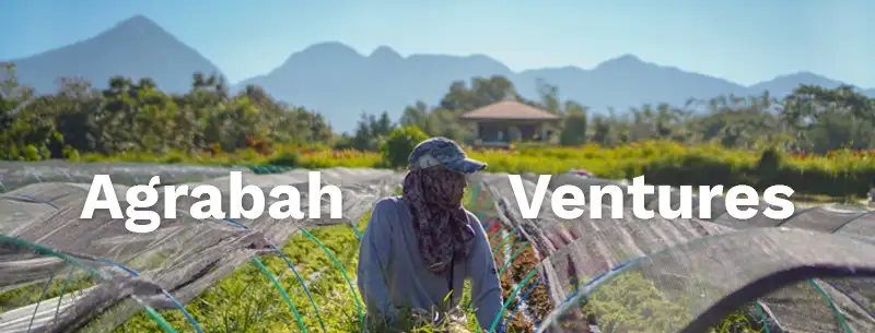 Agrabah Ventures Banner