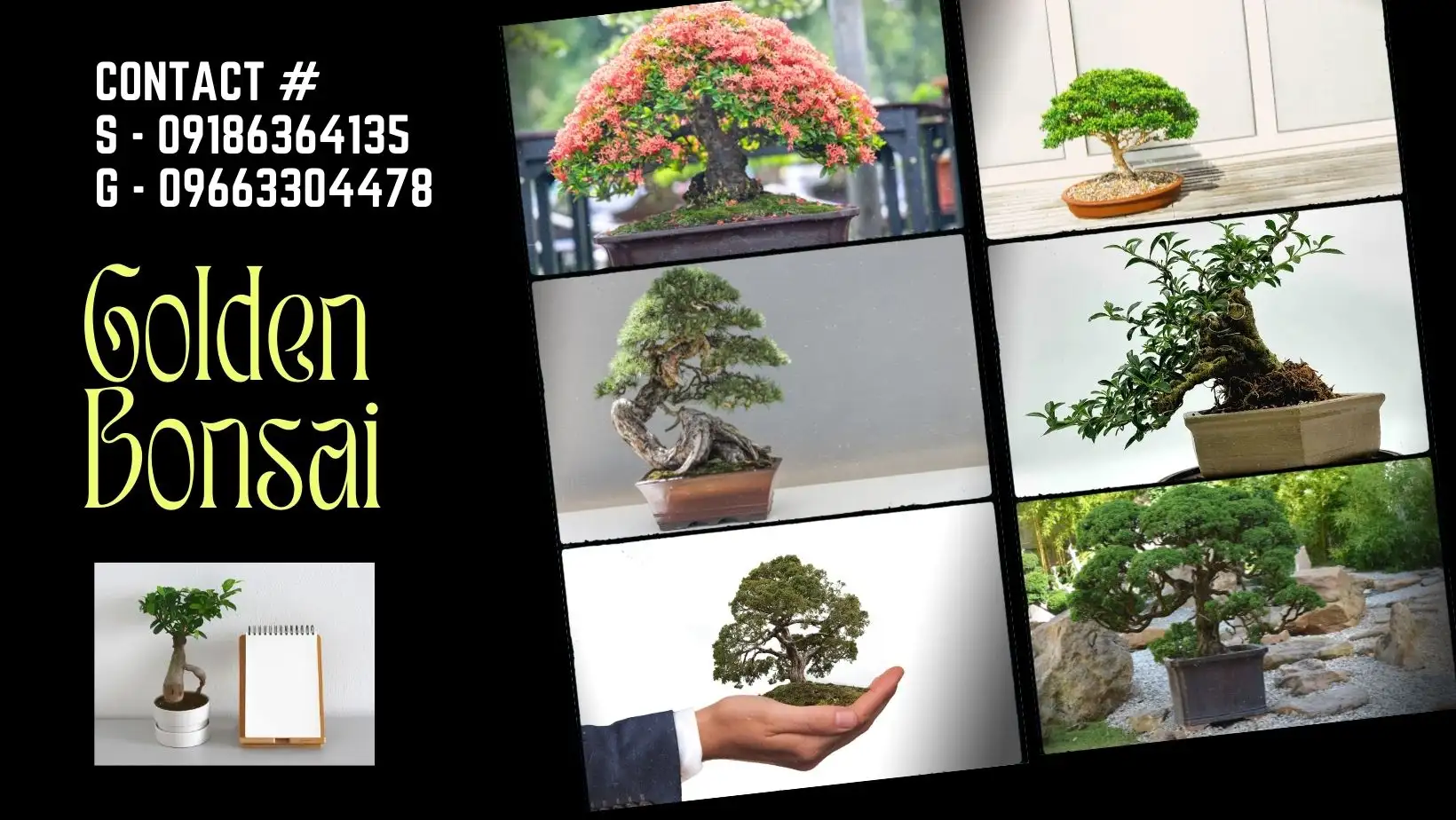 Golden Bonsai Landscaping Banner