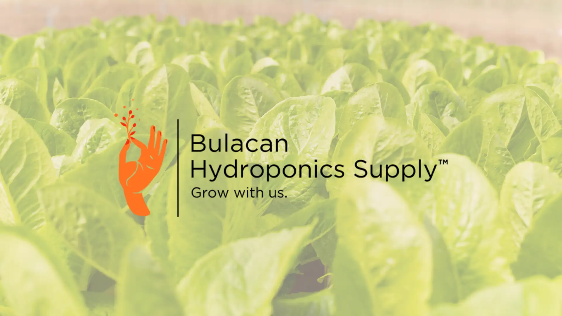 Bulacan Hydroponics Supply Banner