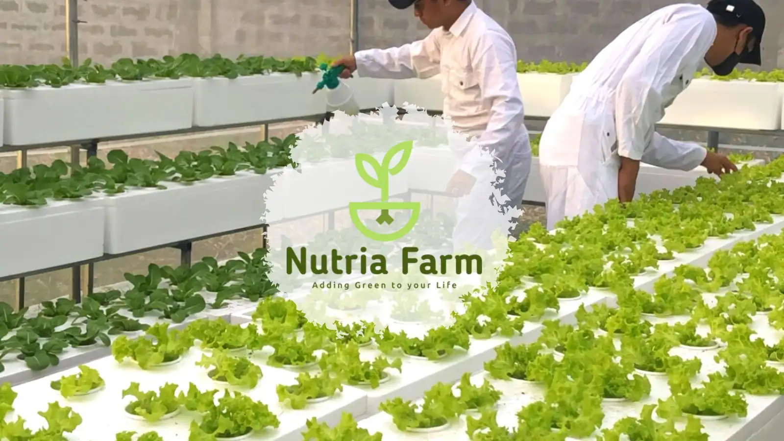 Nutria Farm Banner