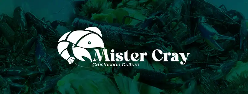 Mister Cray Crustacean Culture Banner