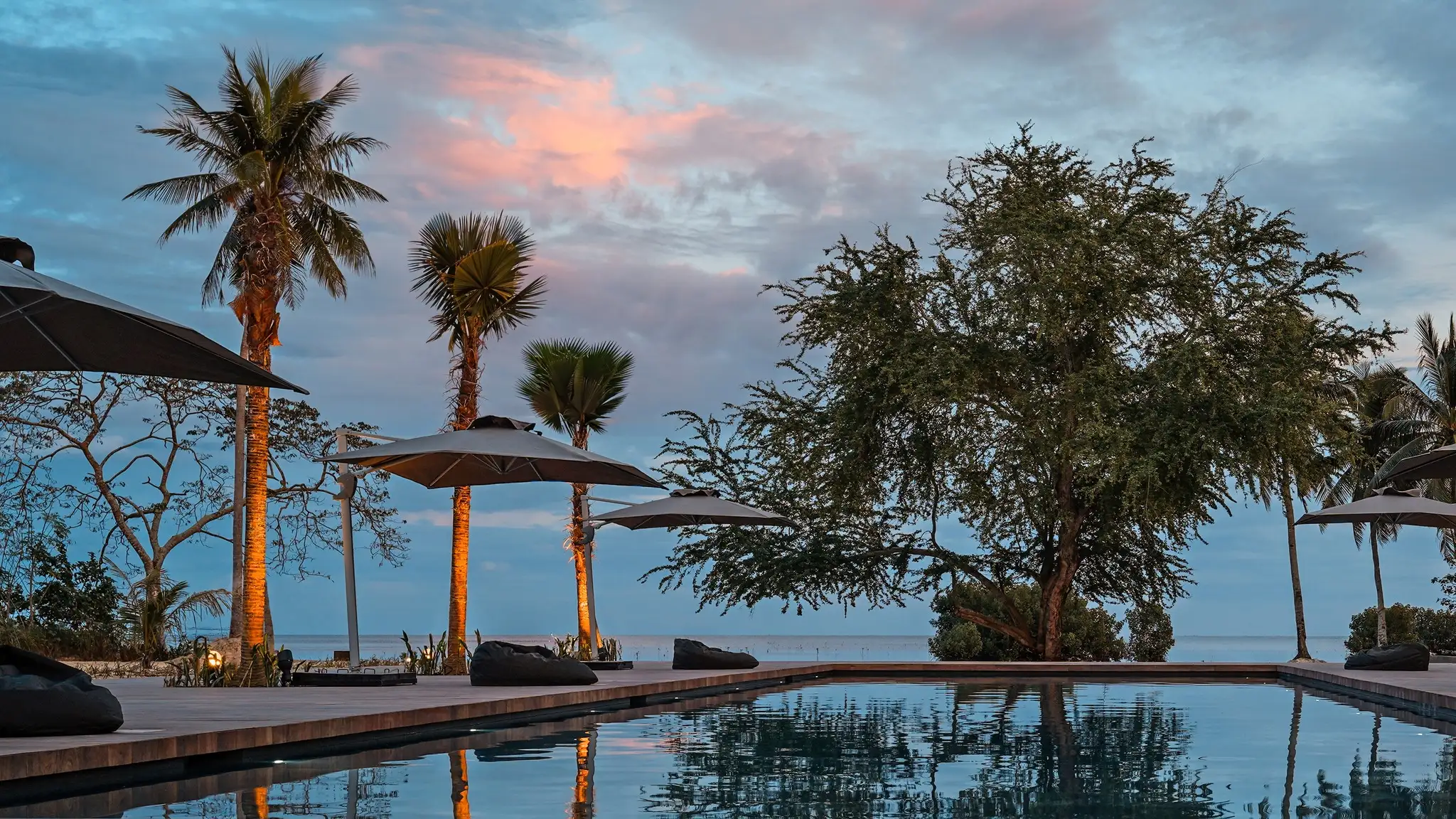 The Funny Lion - Puerto Princesa Banner