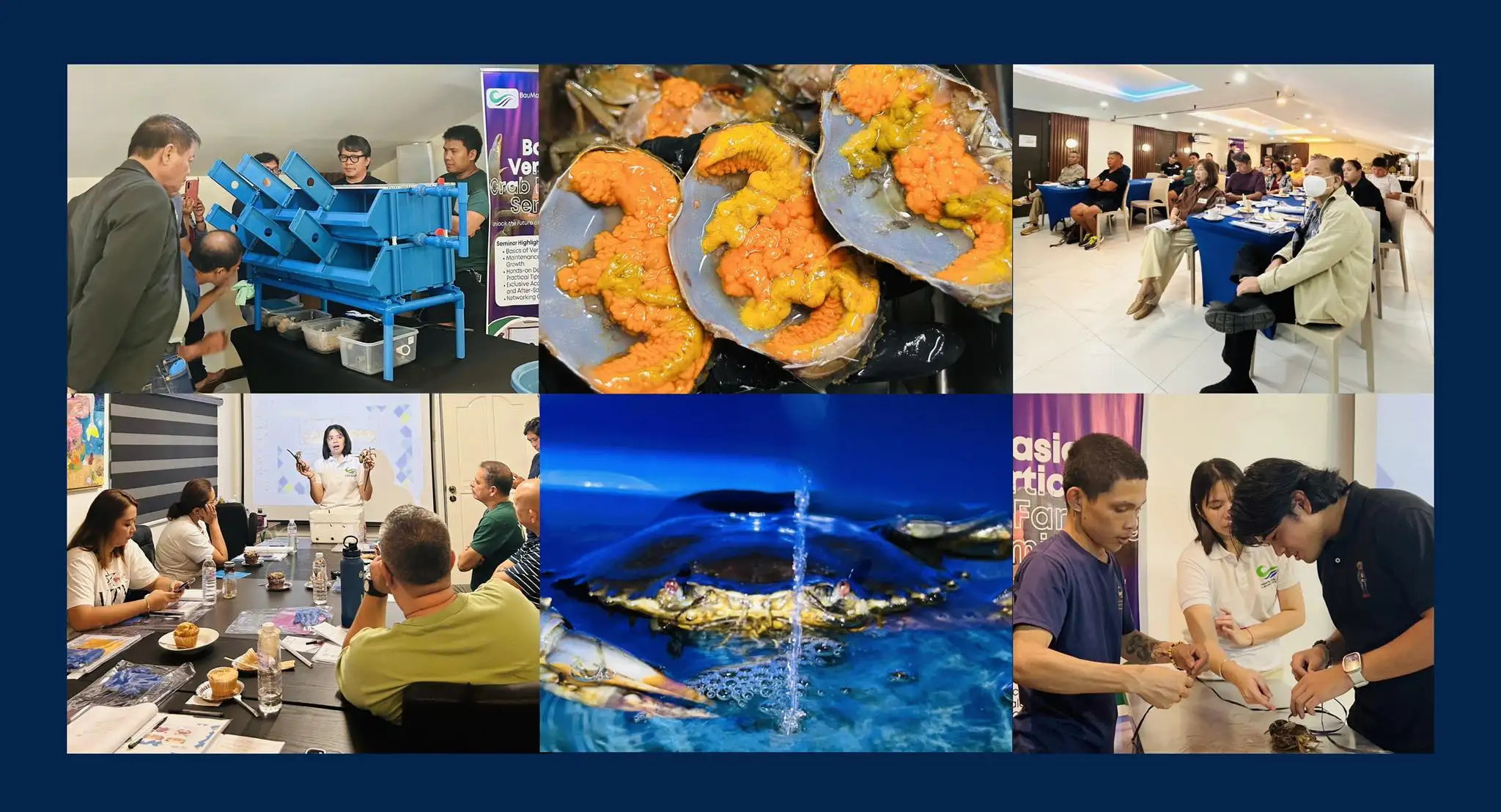 BauMon Aquaculture Support and Services Banner