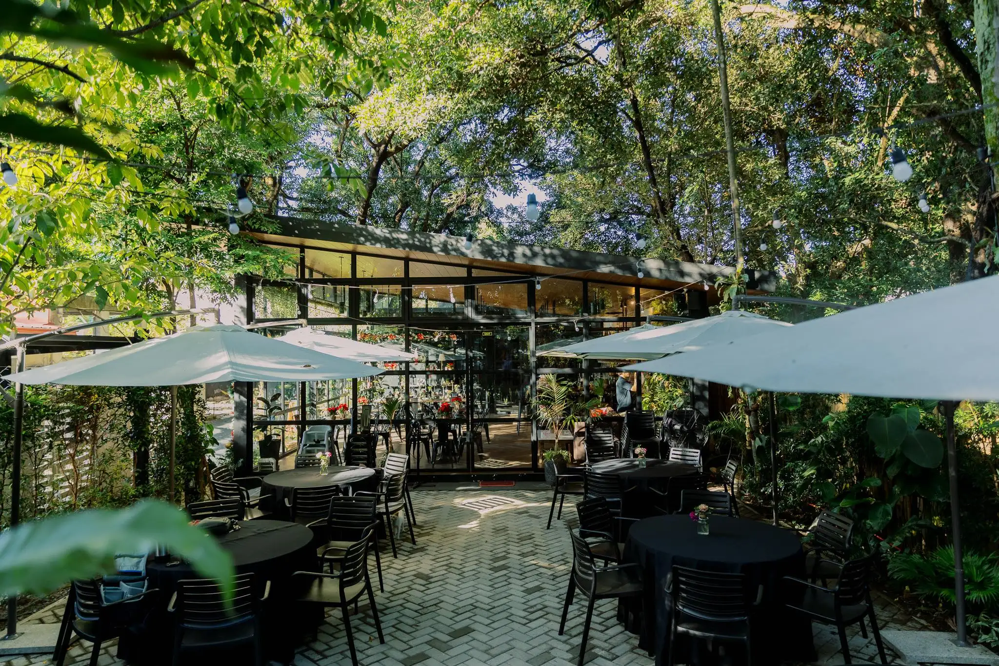 Renato's Garden Restaurant Banner