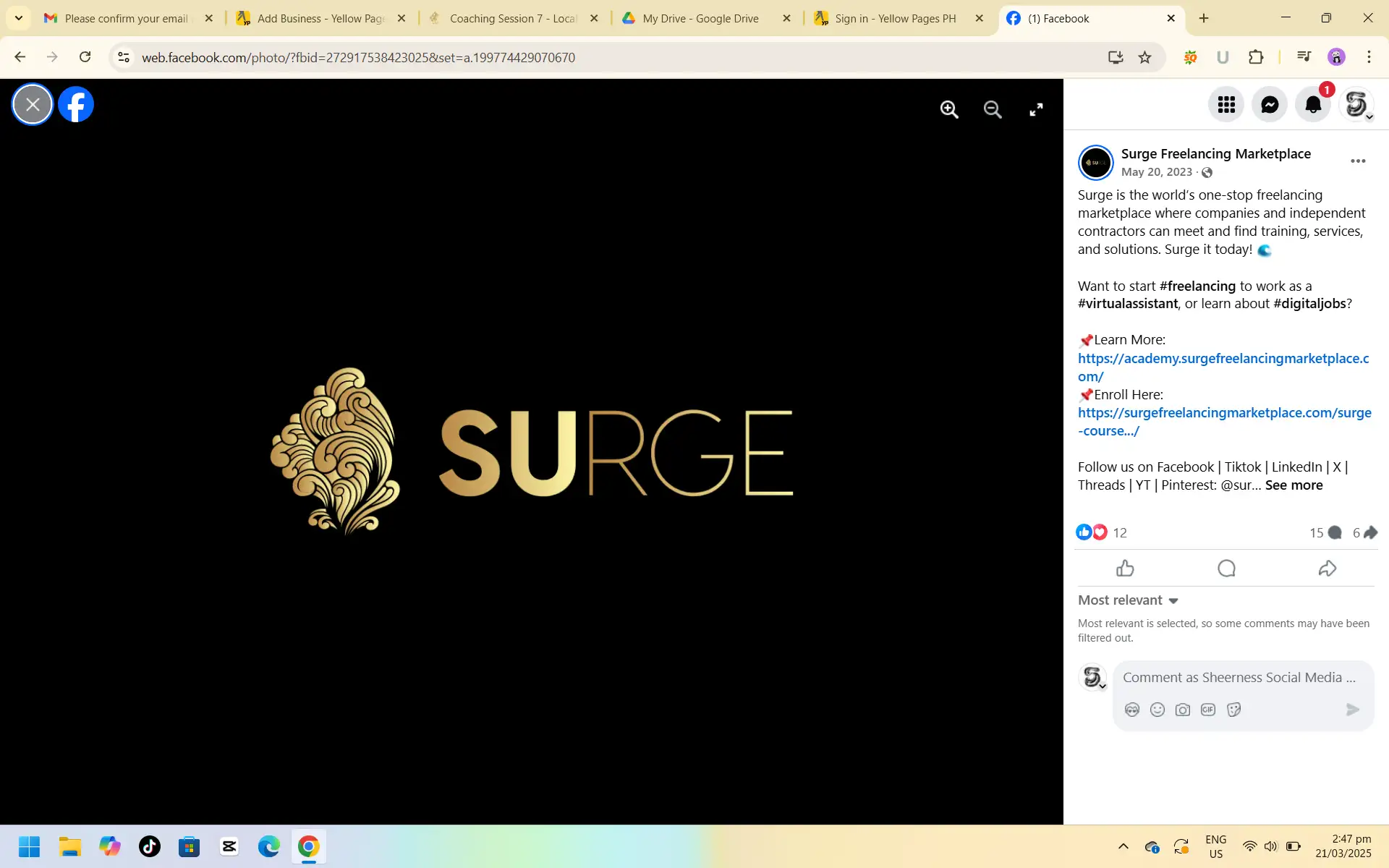 Surge Freelancing Marketplace Logo
