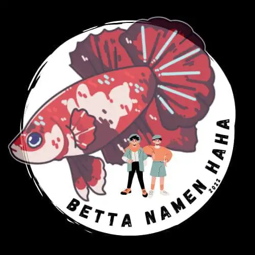 BETTA NAMEN Logo