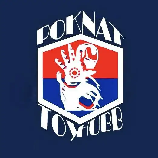 Poknat Toy Hubb Logo
